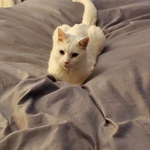 Meet your Posher, Cheryl